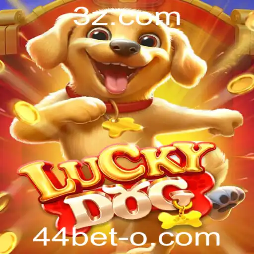 44bet Casino App